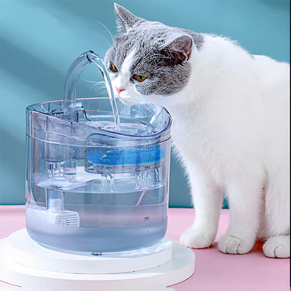 Chat gris et blanc qui boit dans sa fontaine a eau chat CrystalSteel