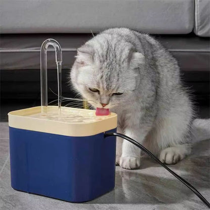 Chat gris qui boit dans fontaine a eau chat Ultra QuietCatWaterFountain bleue