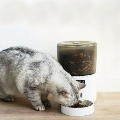 Chat qui mange dans son Distributeur automatique croquettes chat SmartConnect blanc.