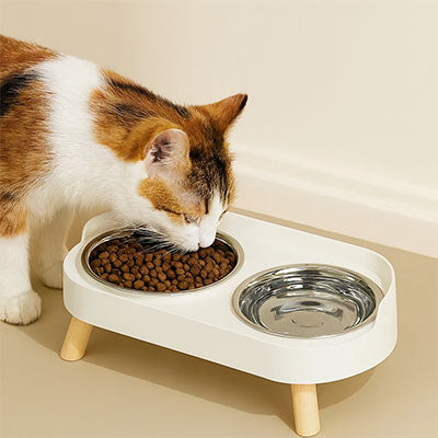 Chat mange croquette dans gamelle chat ScandiSteel2
