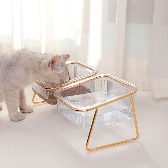 Chat mange dans double gamelle chat Cristal&Chic