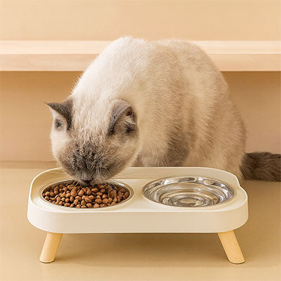Chat qui mange dans sa gamelle chat double bol ScandiSteel2