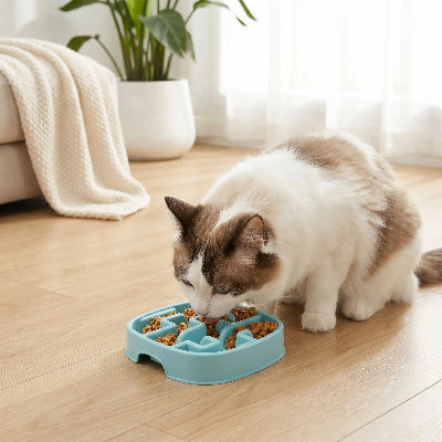 Chat mange dans sa gamelle anti glouton chat PawSlowFeeder