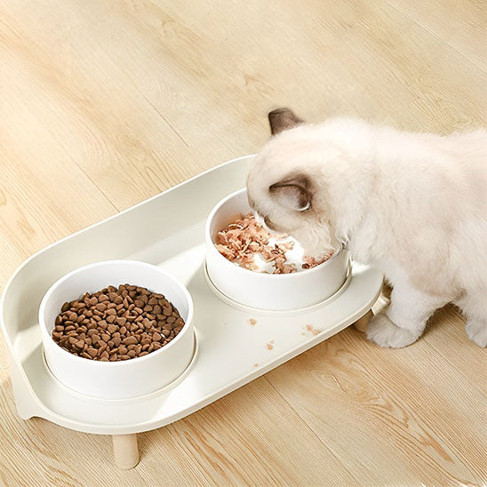 Chat mange du  thon dans sa gamelle chat Scandisteel1 blanche