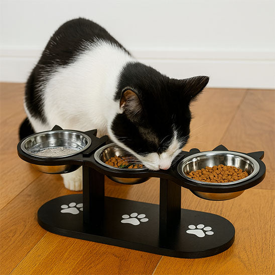 Chat noir et blanc qui mange dans gamelle chat surélevée BlackThree