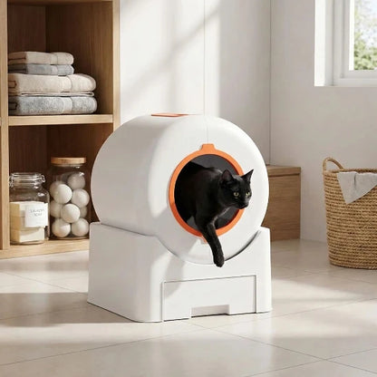 Chat noir qui sort de sa litière automatique CleanZen