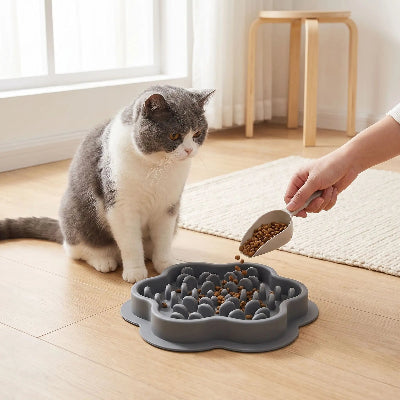Chat qui attend devant sa gamelle chat anti glouton ZenPlate grise