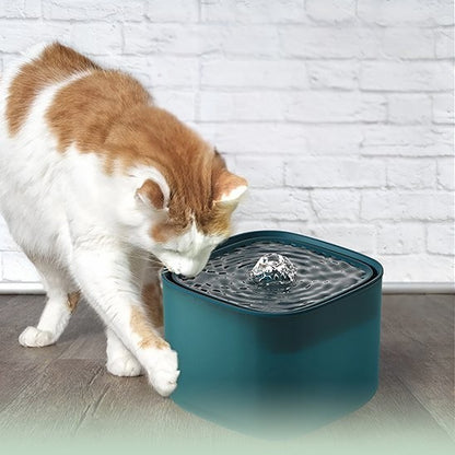 Chat qui boit dans la fontaine a eau pour chat AquaFresh couleur verte