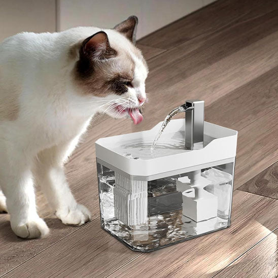 Chat qui boit dans sa Fontaine a eau chat CatAutomaticWaterFountain