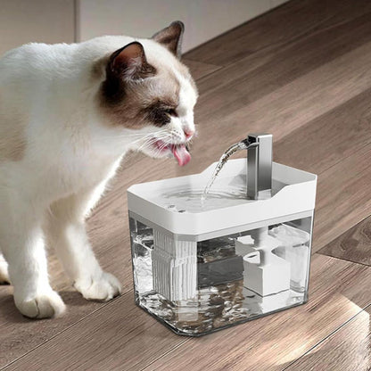 Chat qui boit dans sa Fontaine a eau chat CatAutomaticWaterFountain