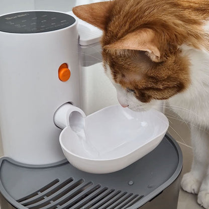 Chat qui boit dans sa Fontaine a eau chat AutoCatWater