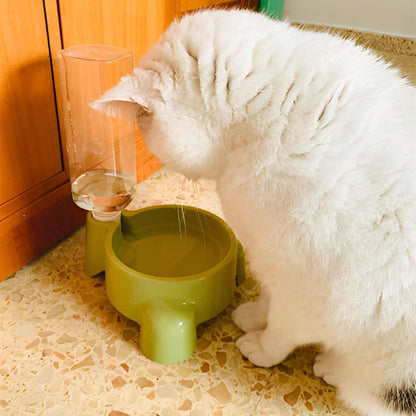 Chat qui boit dans son distributeur eau chat BottleCat vert.