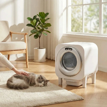 Chat qui dort paisiblement à côté de sa litière automatique