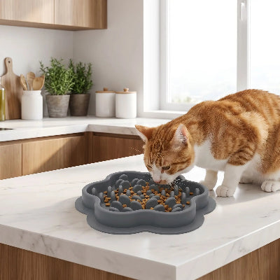 Chat qui mange dans gamelle chat anti glouton ZenPlate grise