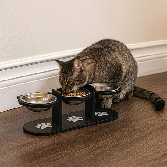 Chat qui mange dans gamelle chat surélevée BlackThree