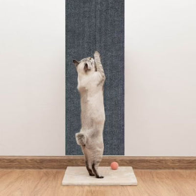 Chat qui s’étire sur son griffoir chat GriffCool