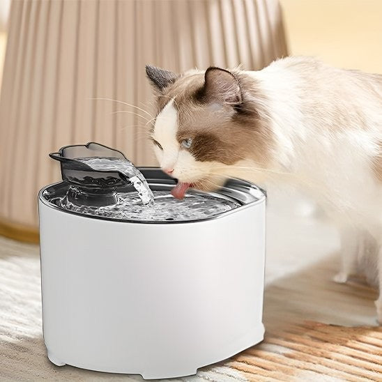Chat qui s’hydrate avec la fontaine a eau pour chat WaterPet blanche