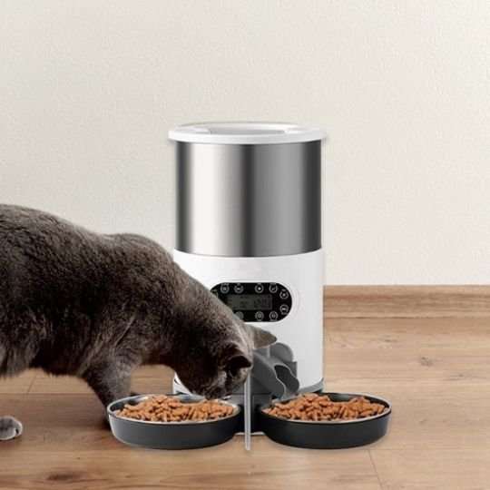Chat qui se restaure avec son distributeur automatique croquettes chat FeedFlowConnect Twin.