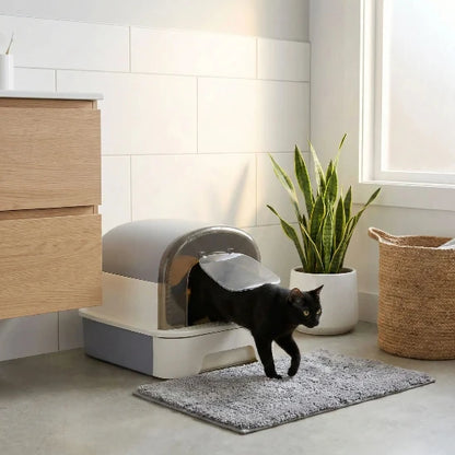 Chat qui sort de sa maison de toilette pour chat modulable grise
