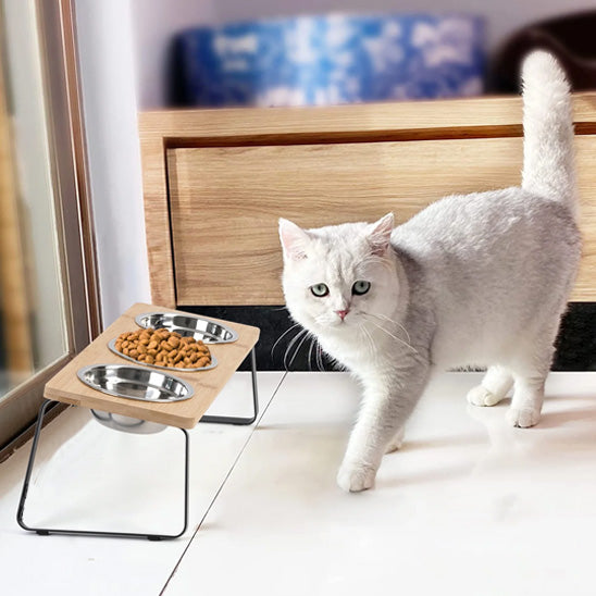 chat qui va manger dans gamelle chat surélevée ScandiCatChic