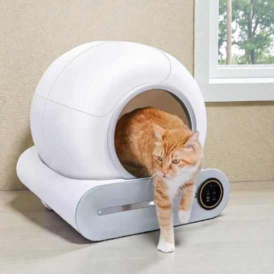 Chat roux qui sort de sa Litiere autonettoyante EasyClean