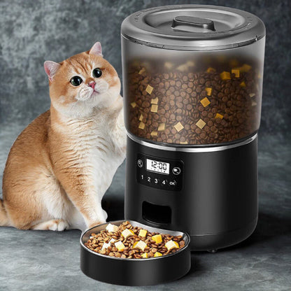 Chat roux à côté du distributeur automatique croquettes chat SmartConnect noir