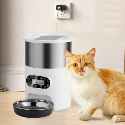 Chat roux assis avec le distributeur  automatique croquettes chat FeedFlowConnect One.