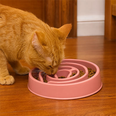 Chat roux mange dans gamelle anti glouton chat SlowMeal rose