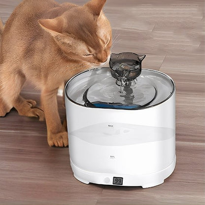 Chat roux qui boit dans fontaine a eau pour chat WaterPet blanche