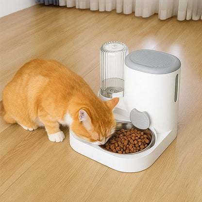 Chat roux qui se nourrit distributeur de croquettes pour chat FoodFeline