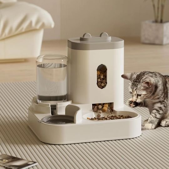 Chaton à coté de son Distributeur croquette chat AutoMeal-2-en-1 gris