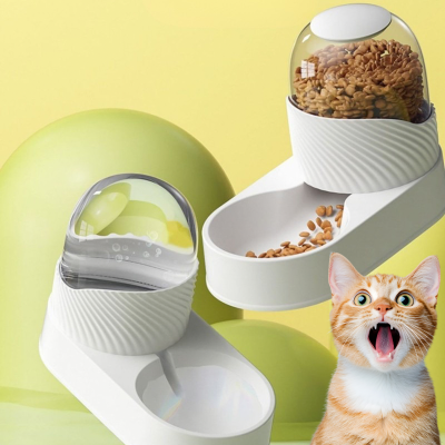 Chaton heureux avec son set de distributeur croquettes chat et abreuvoir
