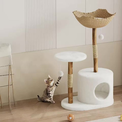 Chaton qui joue avec Arbre à chat en bois ConfortScandinave 1 Plateforme
