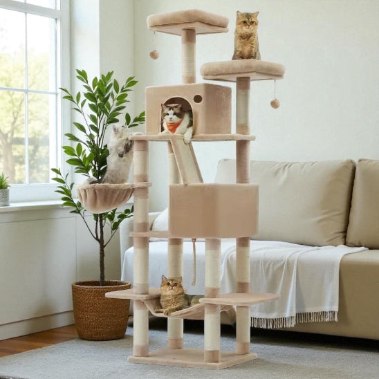 Chats qui jouent sur Arbre a chat Griff&Lux camel