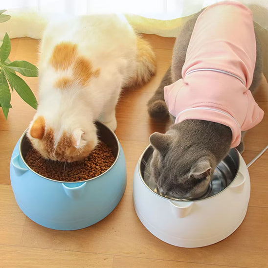 Deux chat mangent dans Gamelle chat EarCatBowl bleue et blanche