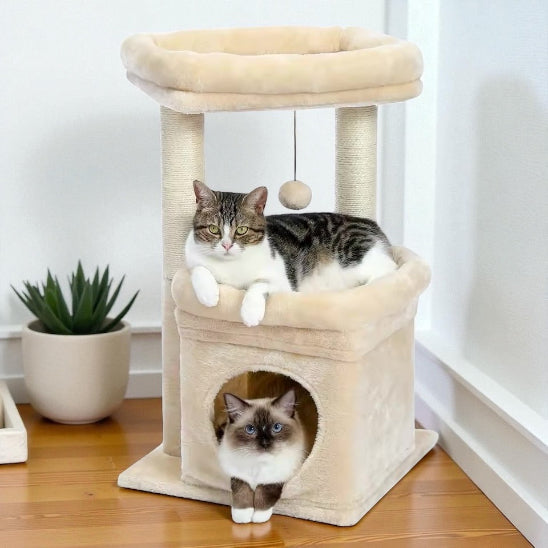 Deux chats avec Arbre à chat Felidouceur beige