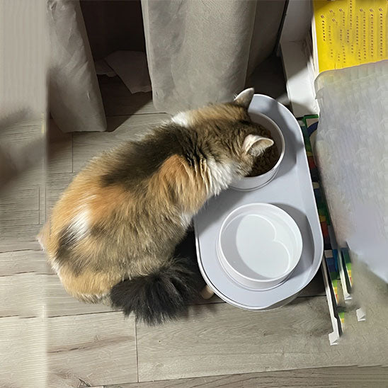 Gamelle chat scandiSteel1 grise vu du dessus