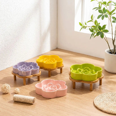 Gamelle pour chat anti glouton 4 variantes