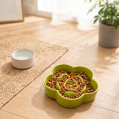 Gamelle pour chat anti glouton Céramique Elégance vert sans support bois