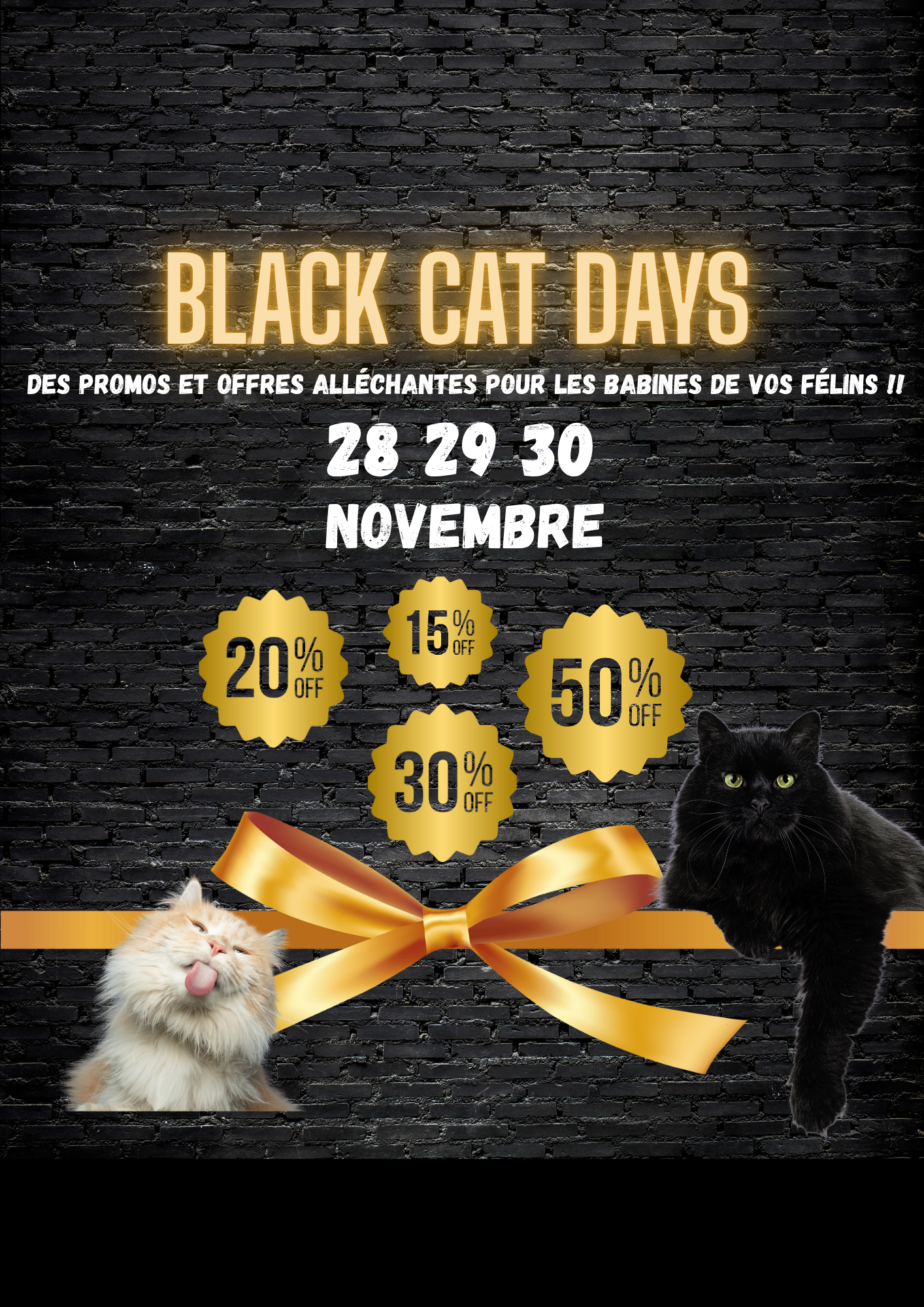 offre black friday sur 3 jours , de 15 à 50% de réduction 