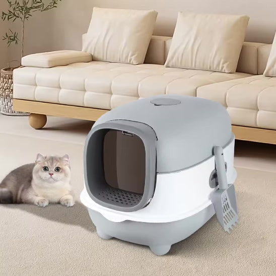 Persan-et-son-bac-a-litiere-chat