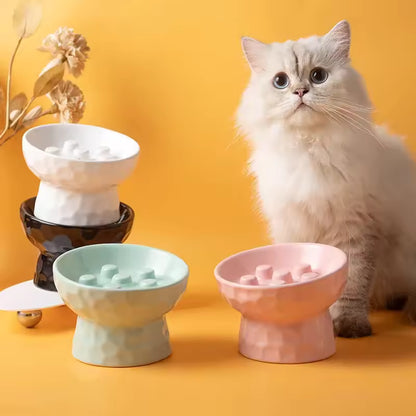 Persan fier de présenter ses Gamelles anti glouton chat CeraZen