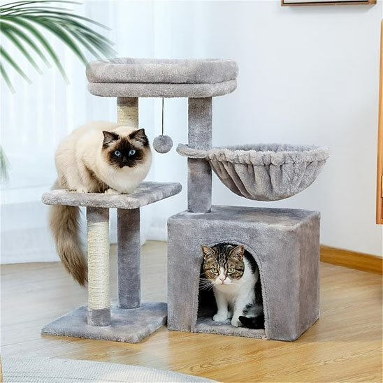 Arbre à chat | ArboCat - Chat Ronronne