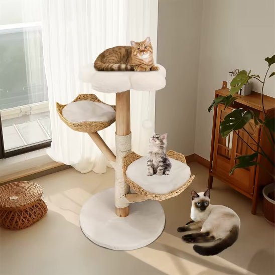 Arbre a chat en bois | Confort Scandinave 2 - Chat Ronronne