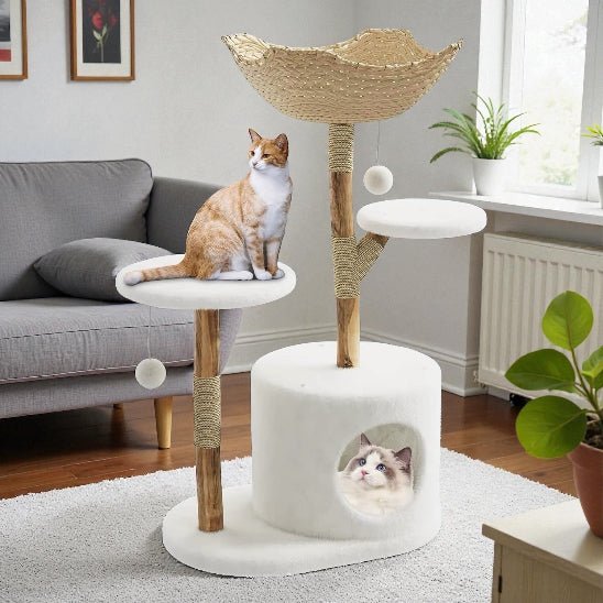 Arbre à chat en bois | Confort Scandinave - Chat Ronronne