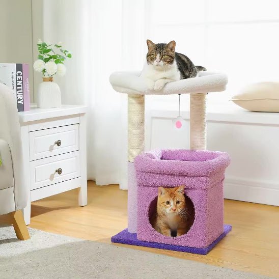 Arbre à chat | FéliDouceur - Chat Ronronne