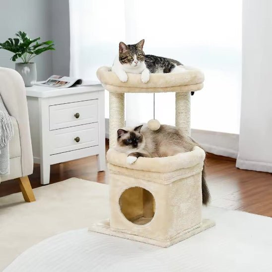 Arbre à chat | FéliDouceur - Chat Ronronne