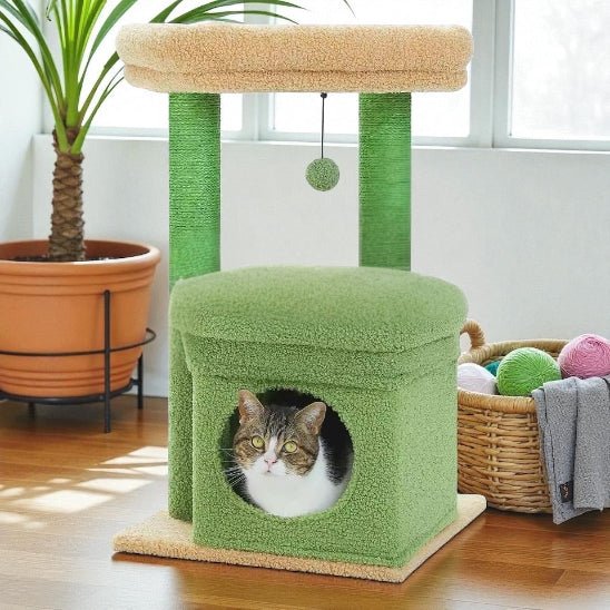 Arbre à chat | FéliDouceur - Chat Ronronne