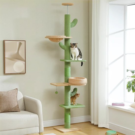 Arbre a chat | FeliGreen - Chat Ronronne
