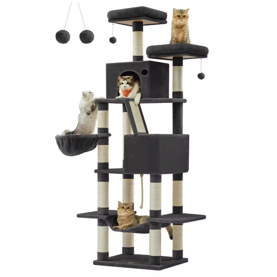 Arbre a chat | Griff&Lux - Chat Ronronne
